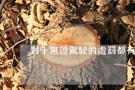 對于無證駕駛的處罰都有哪些？